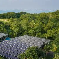 アヤナバリの挑戦