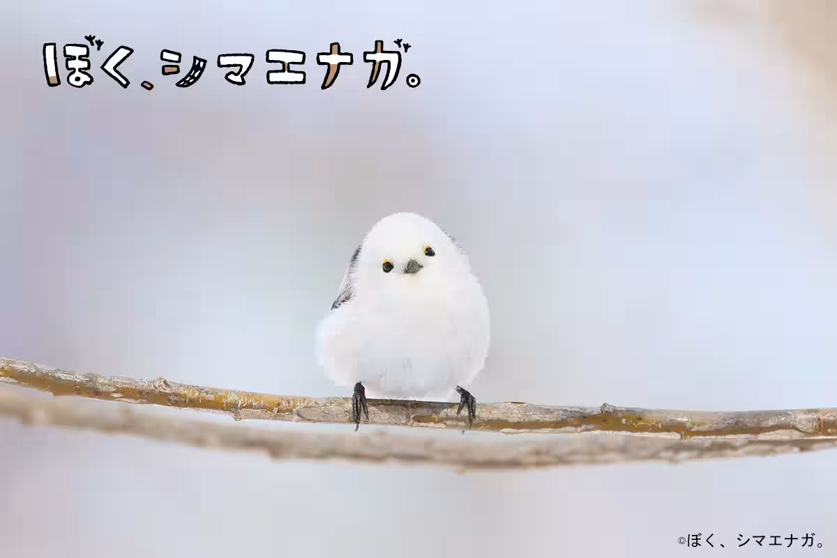 画像18