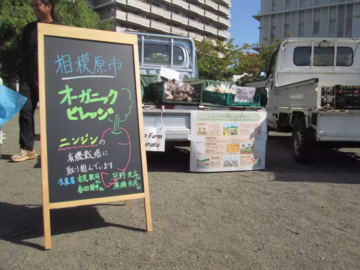 画像9