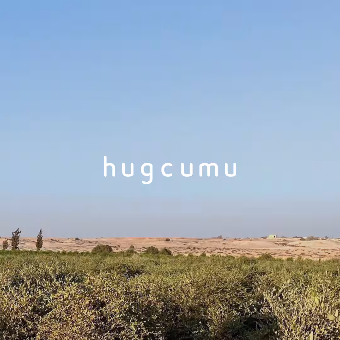 画像14