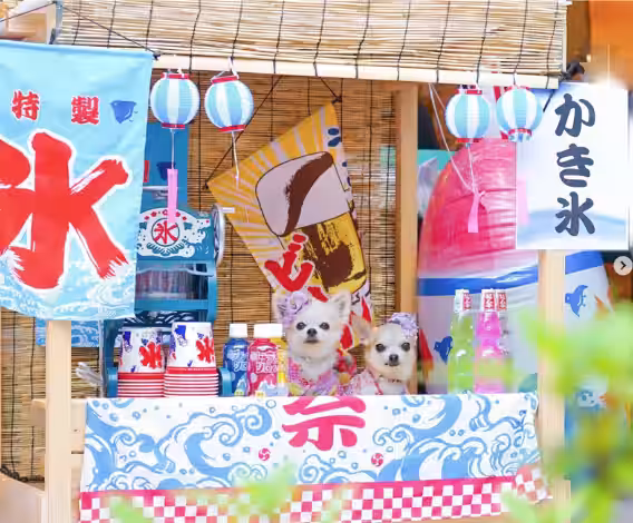 画像8