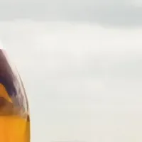 夏に飲みたいウイスキー