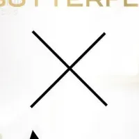 新たな性教育の提案