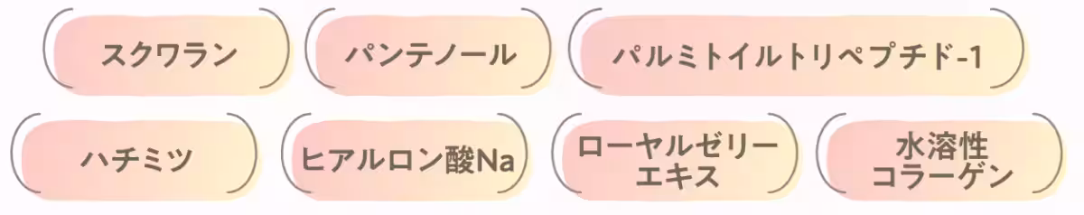 画像27