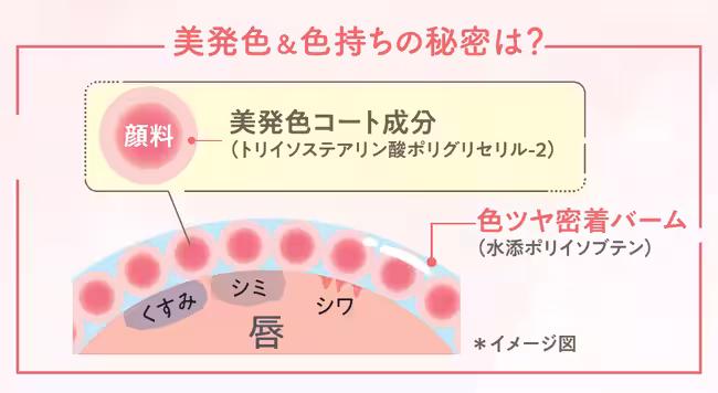 画像26