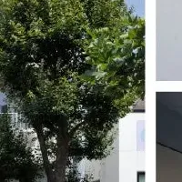 新たな賃貸物件