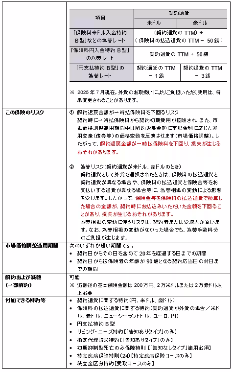 画像12