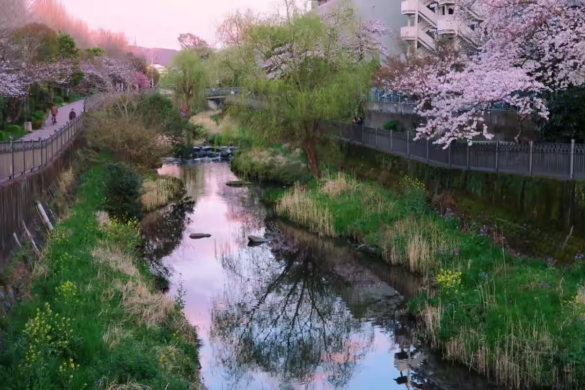 画像6