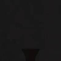 若手の夜明け2025