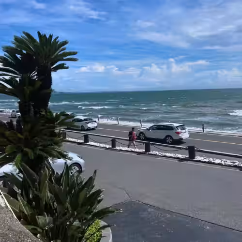画像8