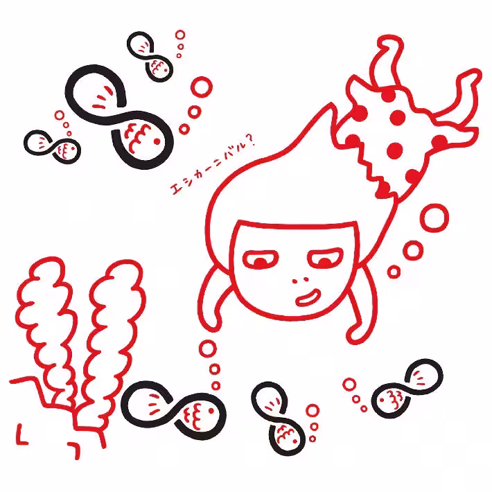 画像24