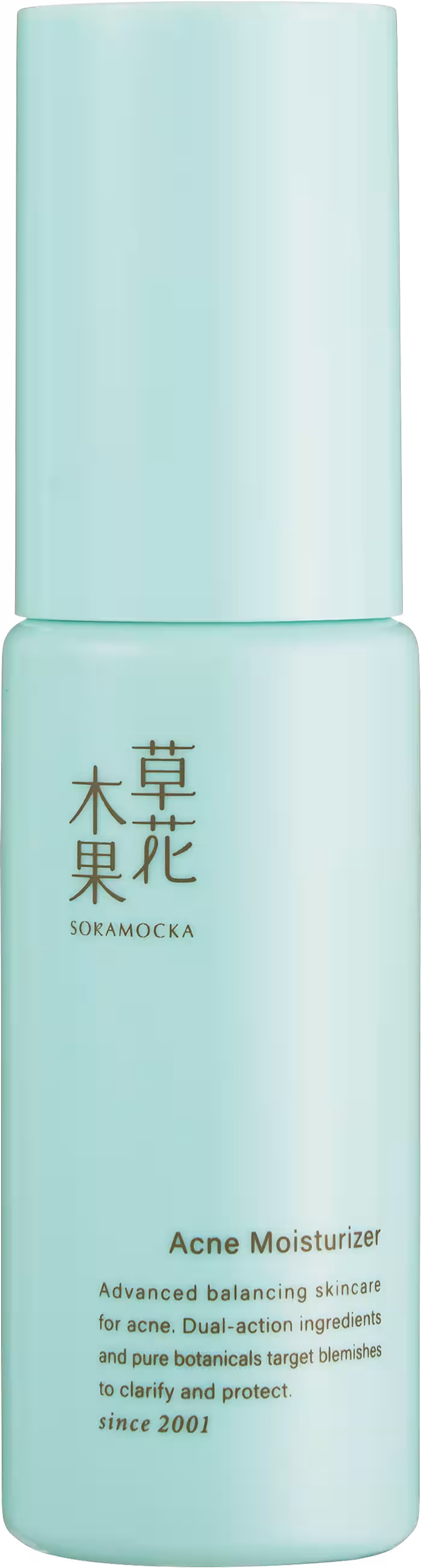 画像13