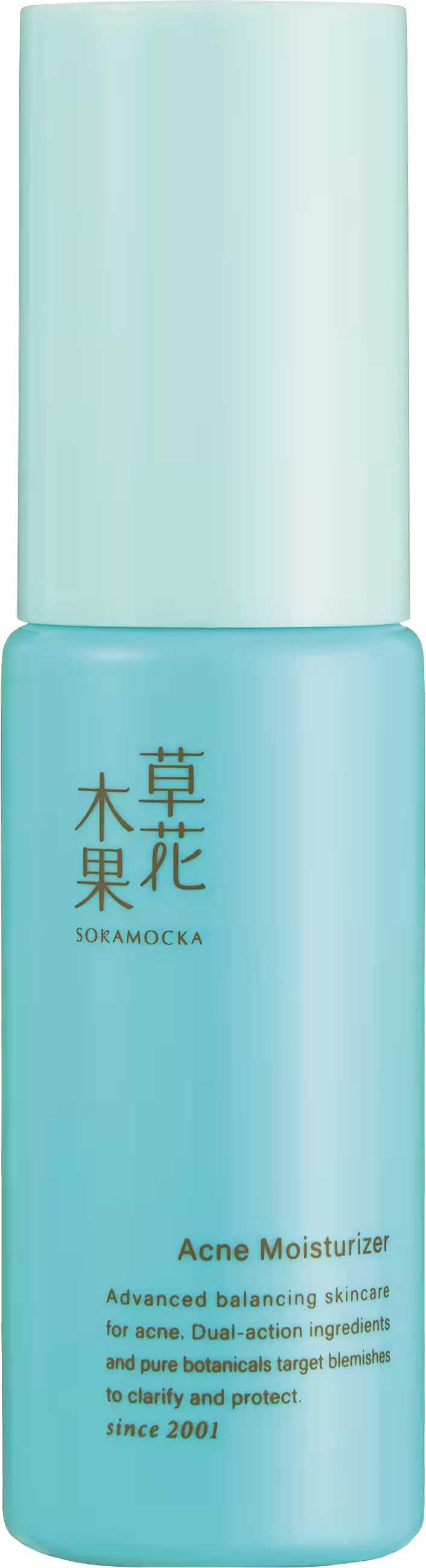 画像14