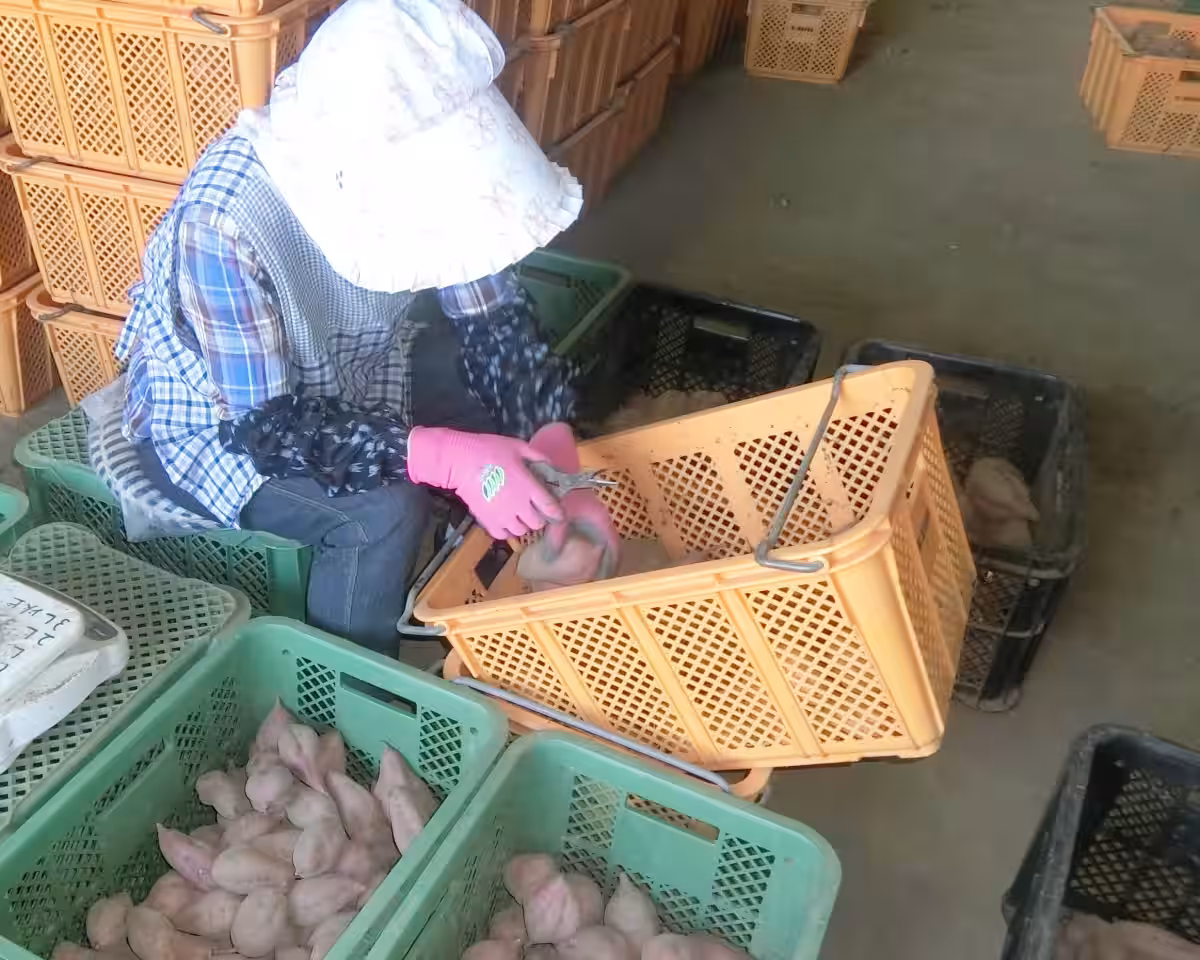 画像3