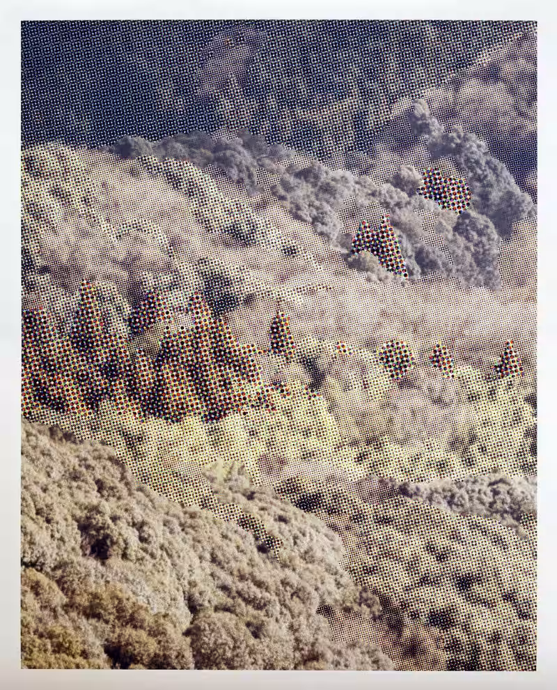 画像15