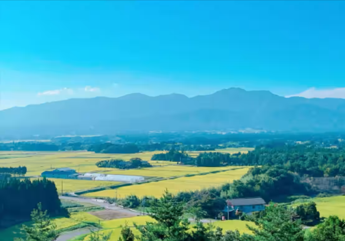 画像11