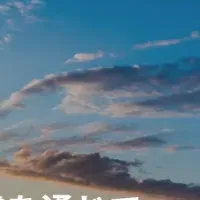 新ブランド「bridge NEXT」