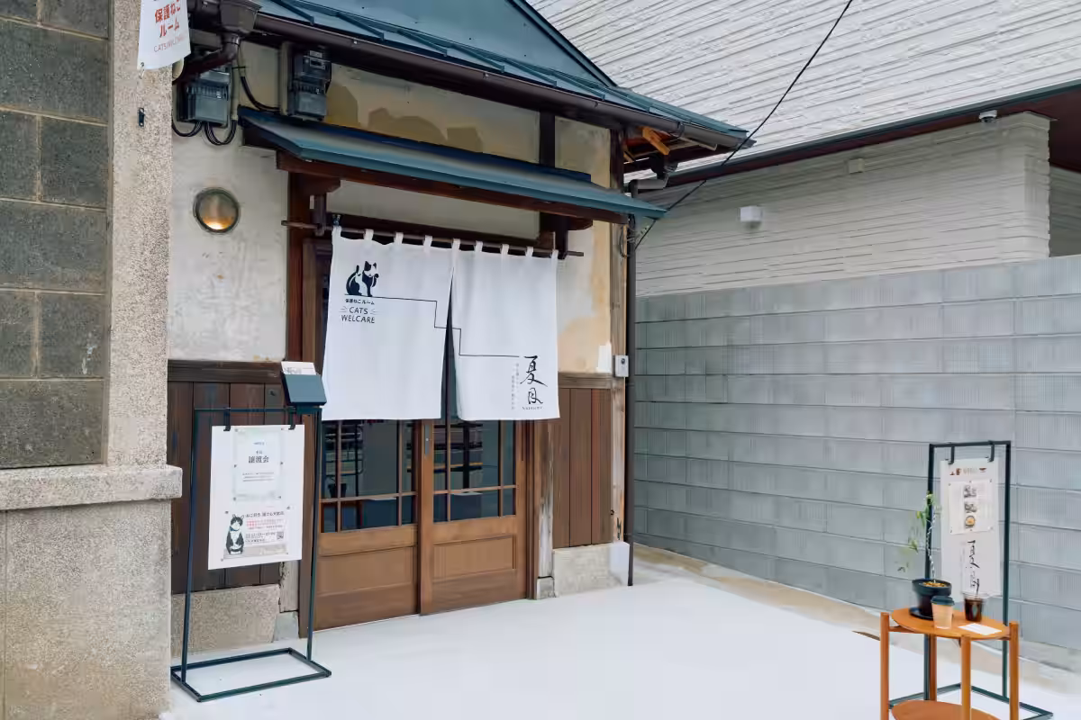 画像24