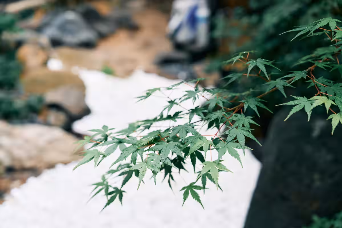 画像20