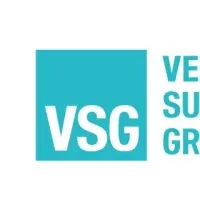 新ブランド『VSG』