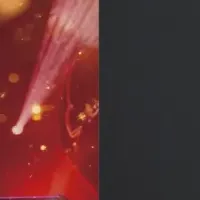 ペ・ナラ特別公演出演