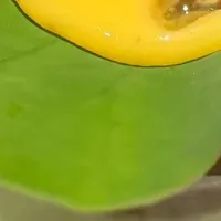 夜のいとで和食待望