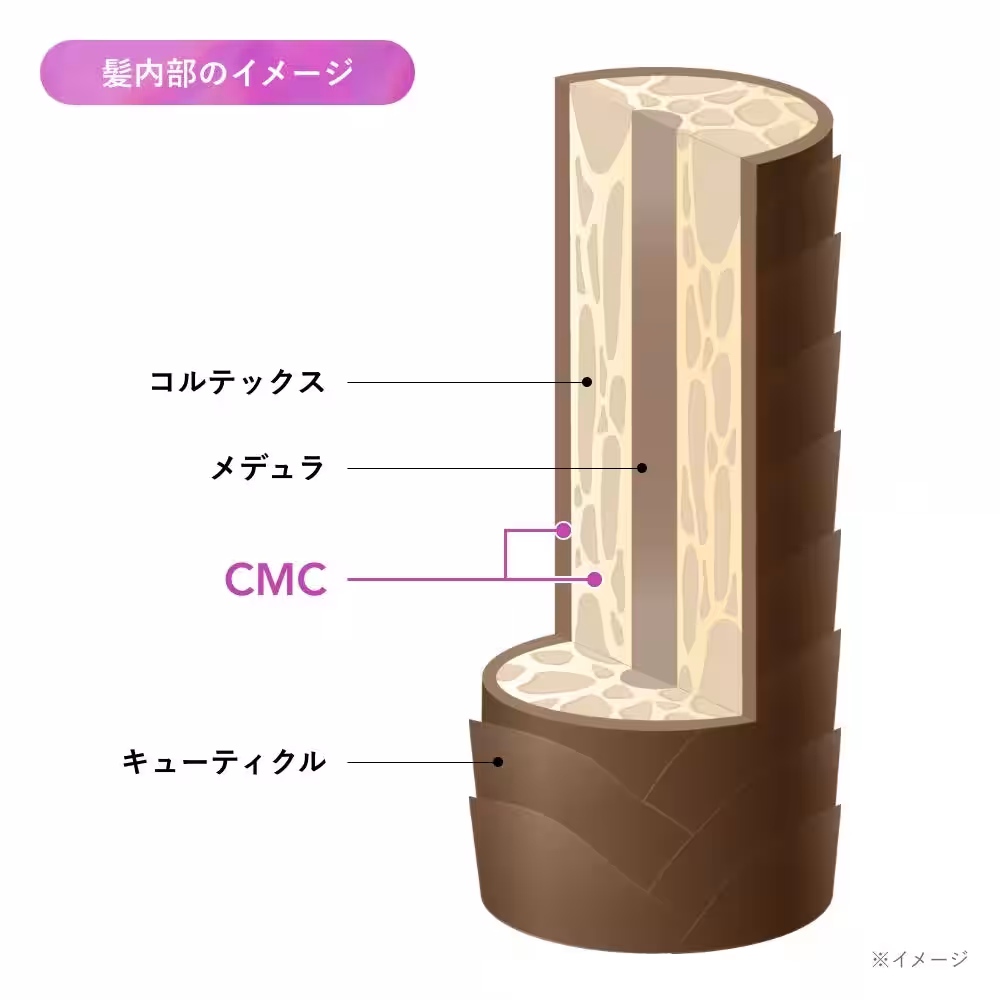 画像12