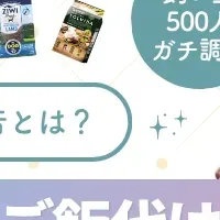 愛犬の餌代調査