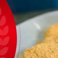 わらびもち感謝祭