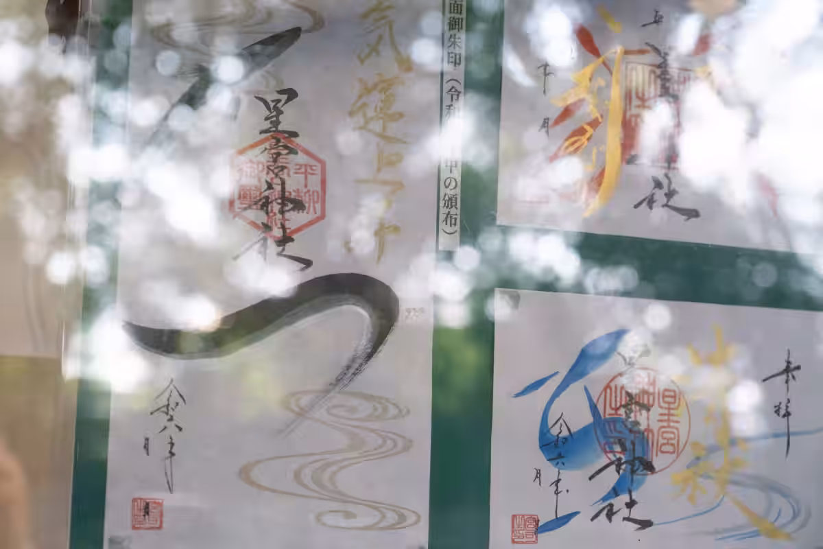 画像4