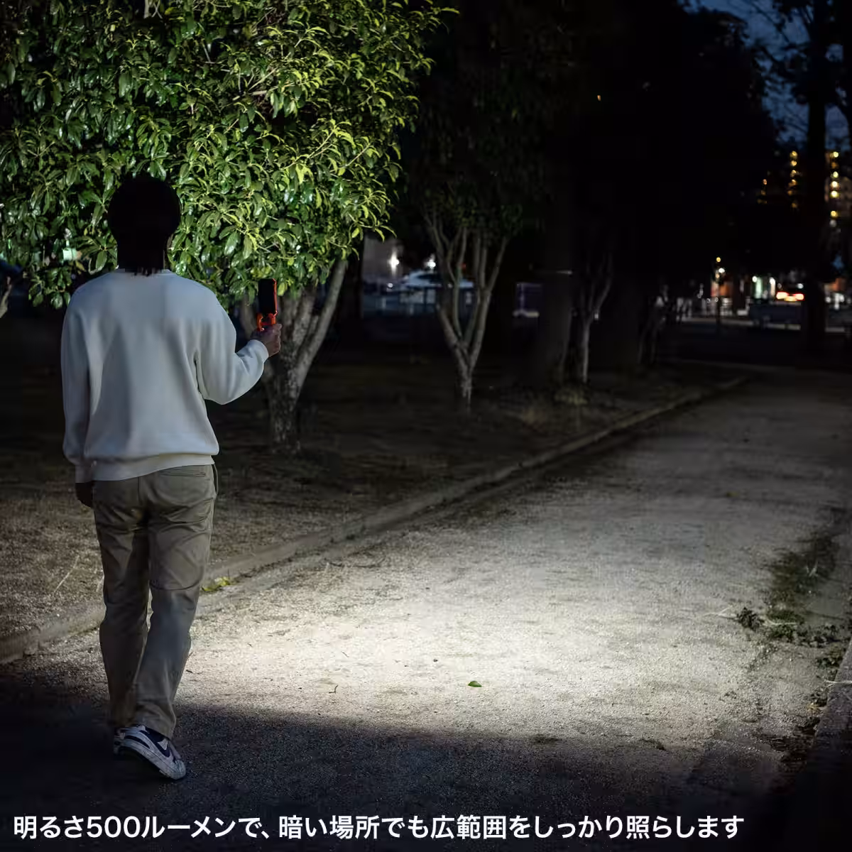 画像20