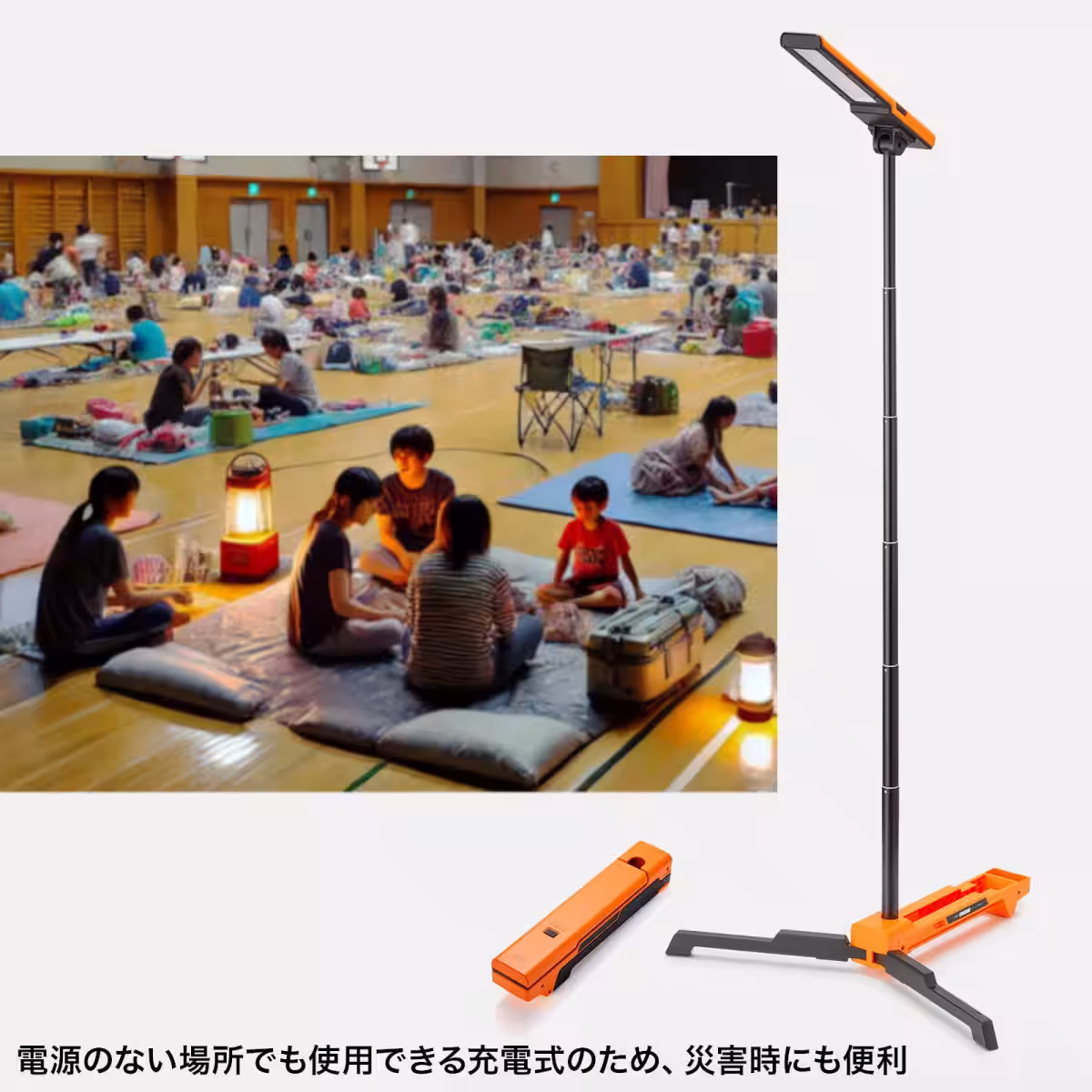 画像6