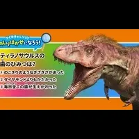 明治アイス夏休み
