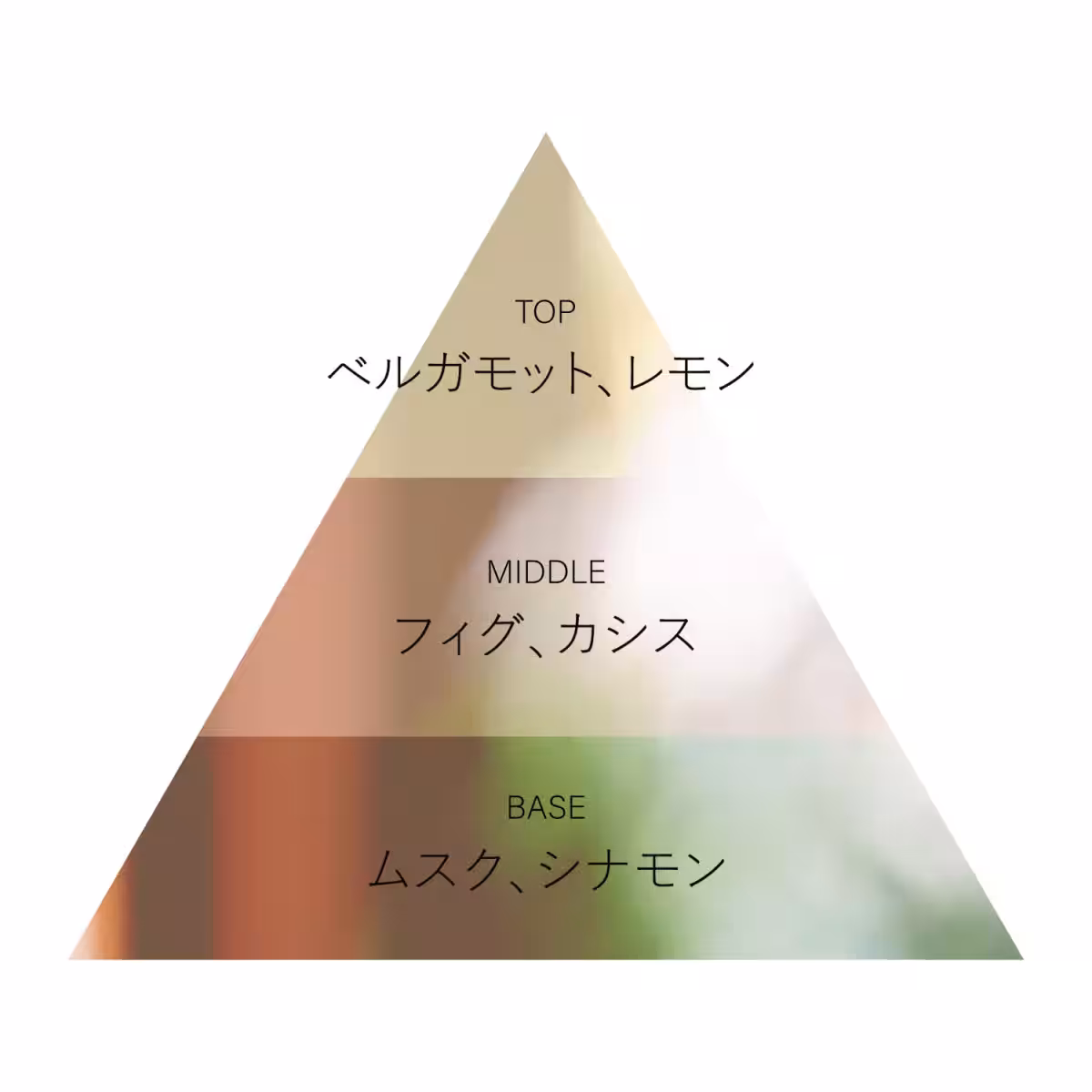 画像11