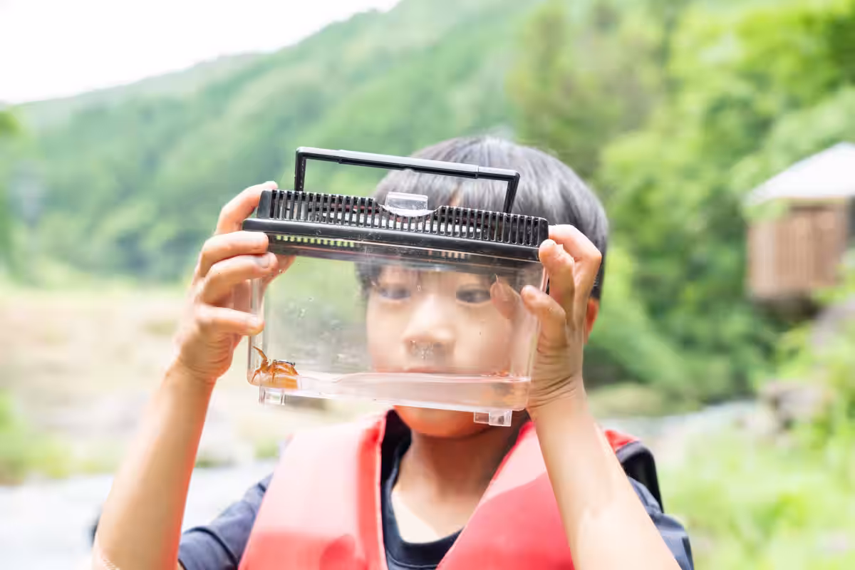 画像5