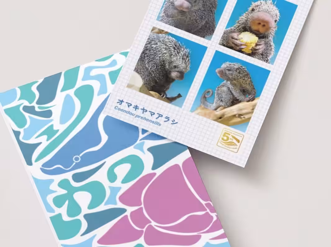 画像4