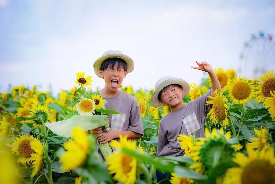 画像20