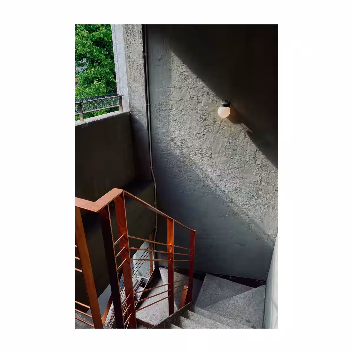 画像14