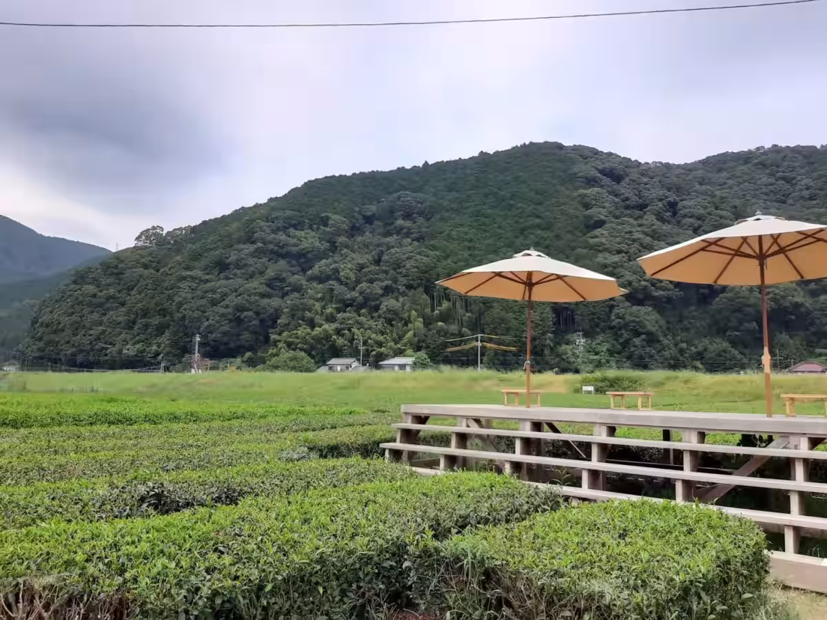 画像7