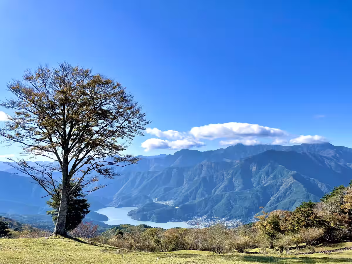 画像12
