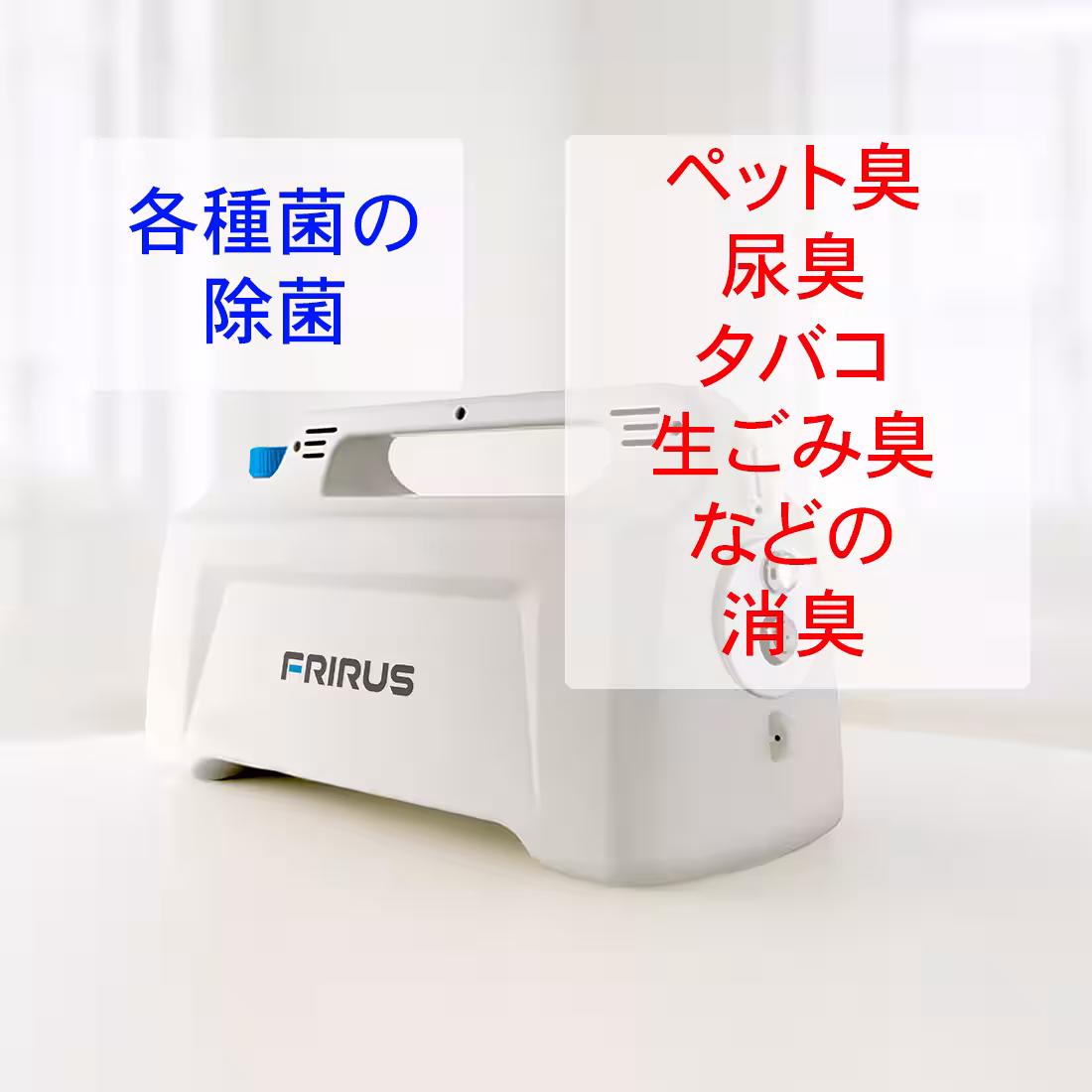 画像10