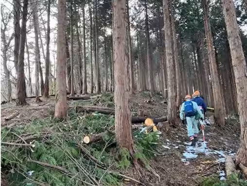 画像3