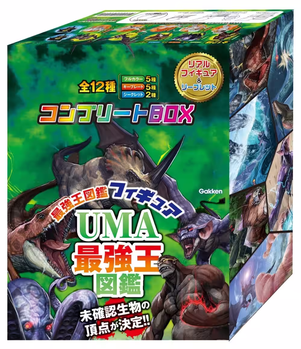 画像7