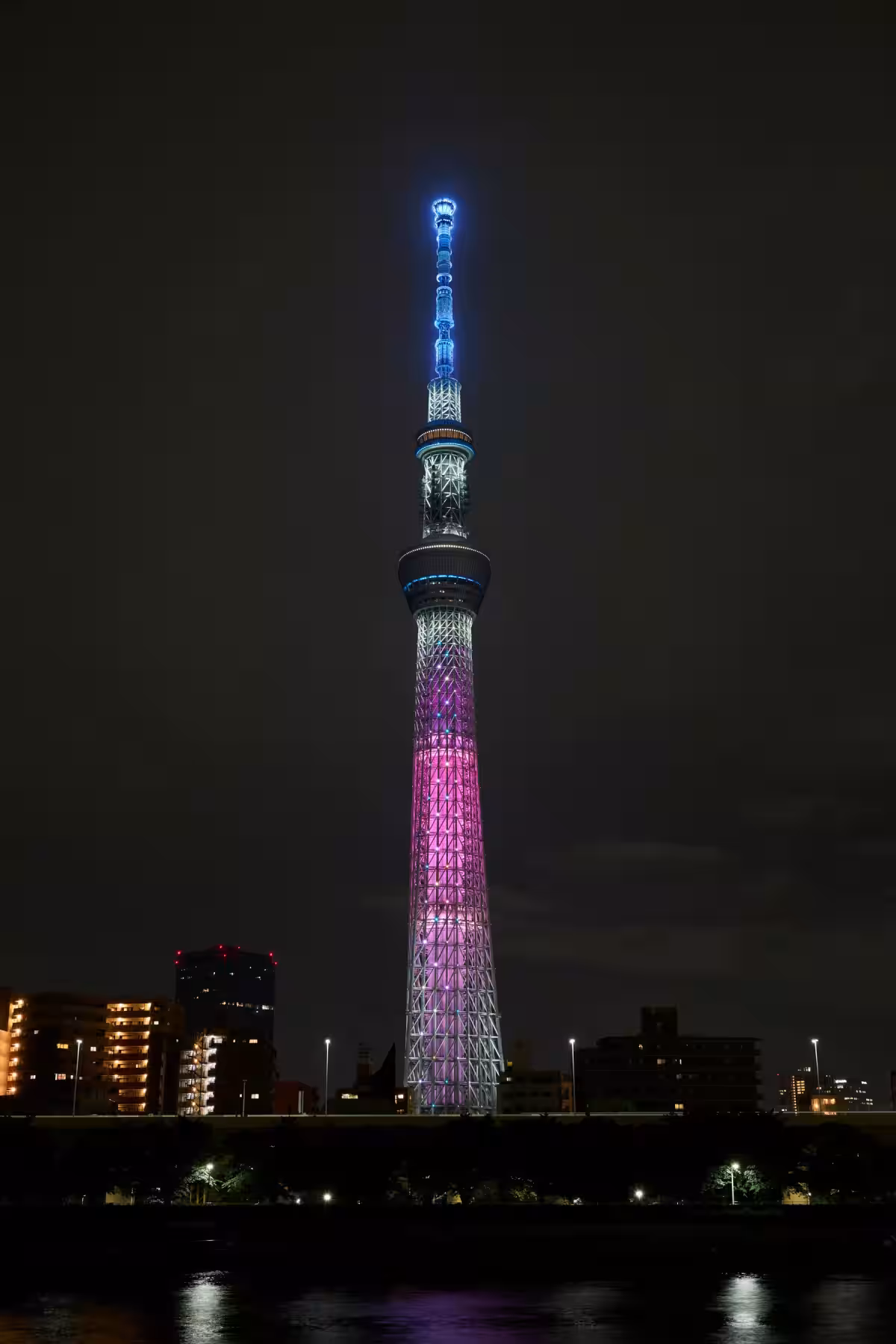 画像29