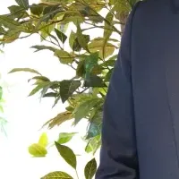 ビズメイツ新CFO就任