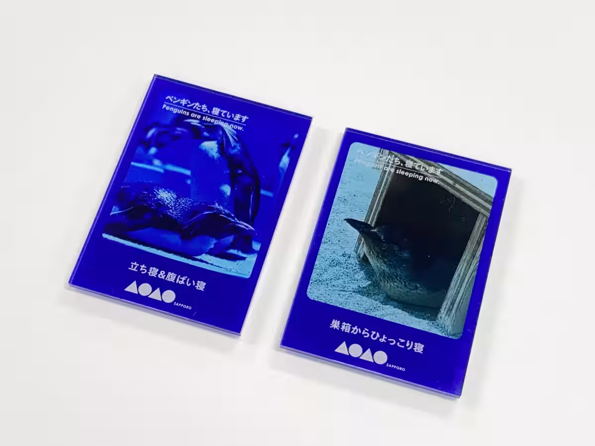 画像10