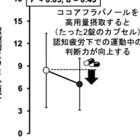 カカオで判断力アップ