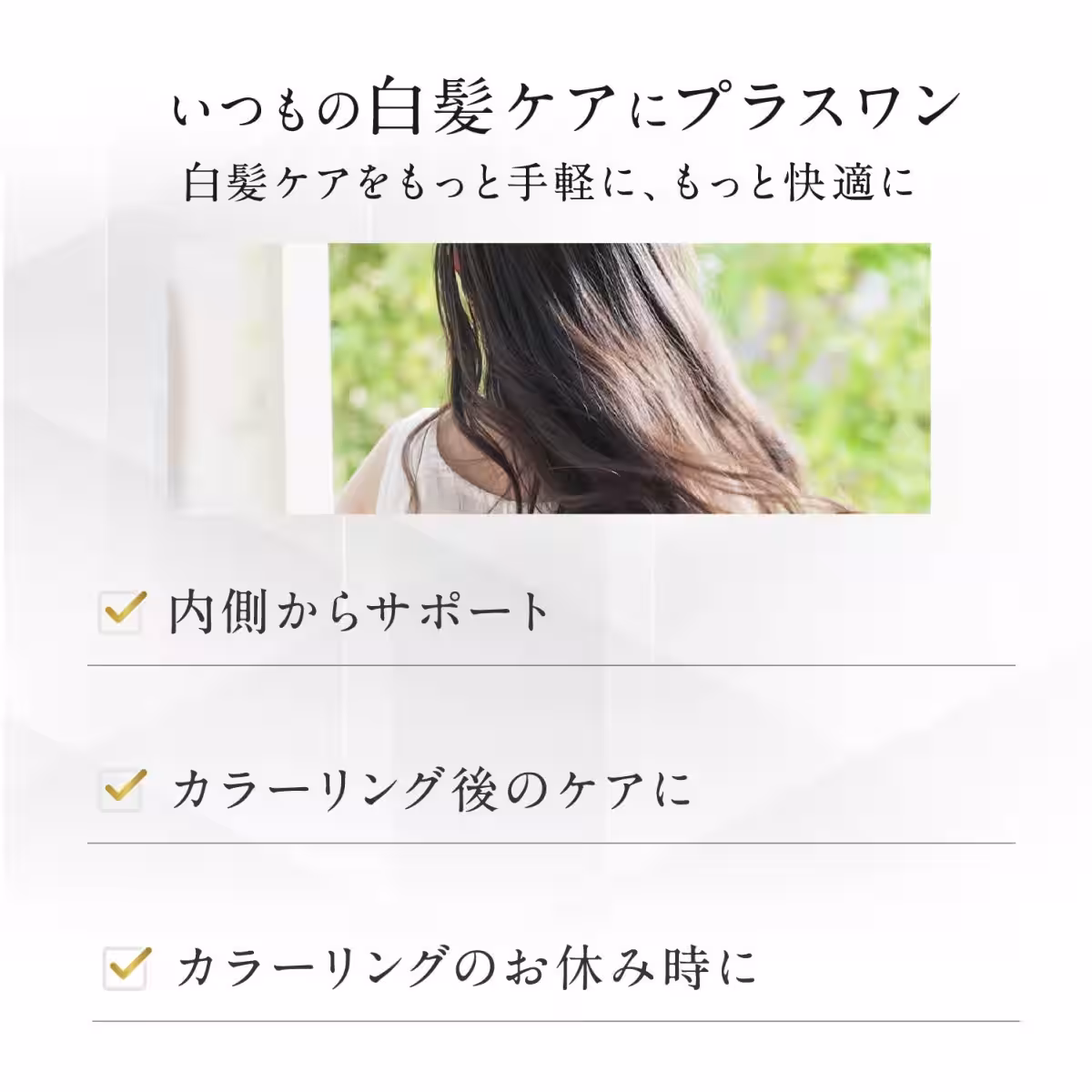 画像12