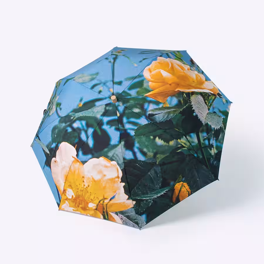 画像11