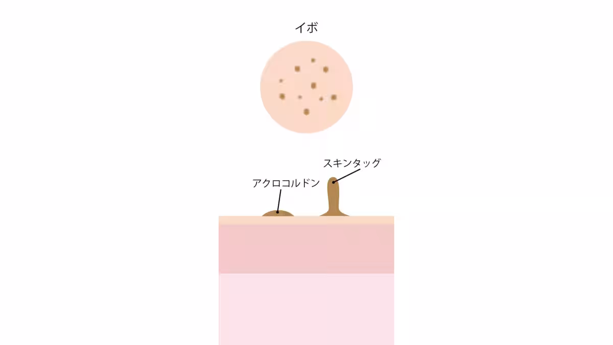 画像18